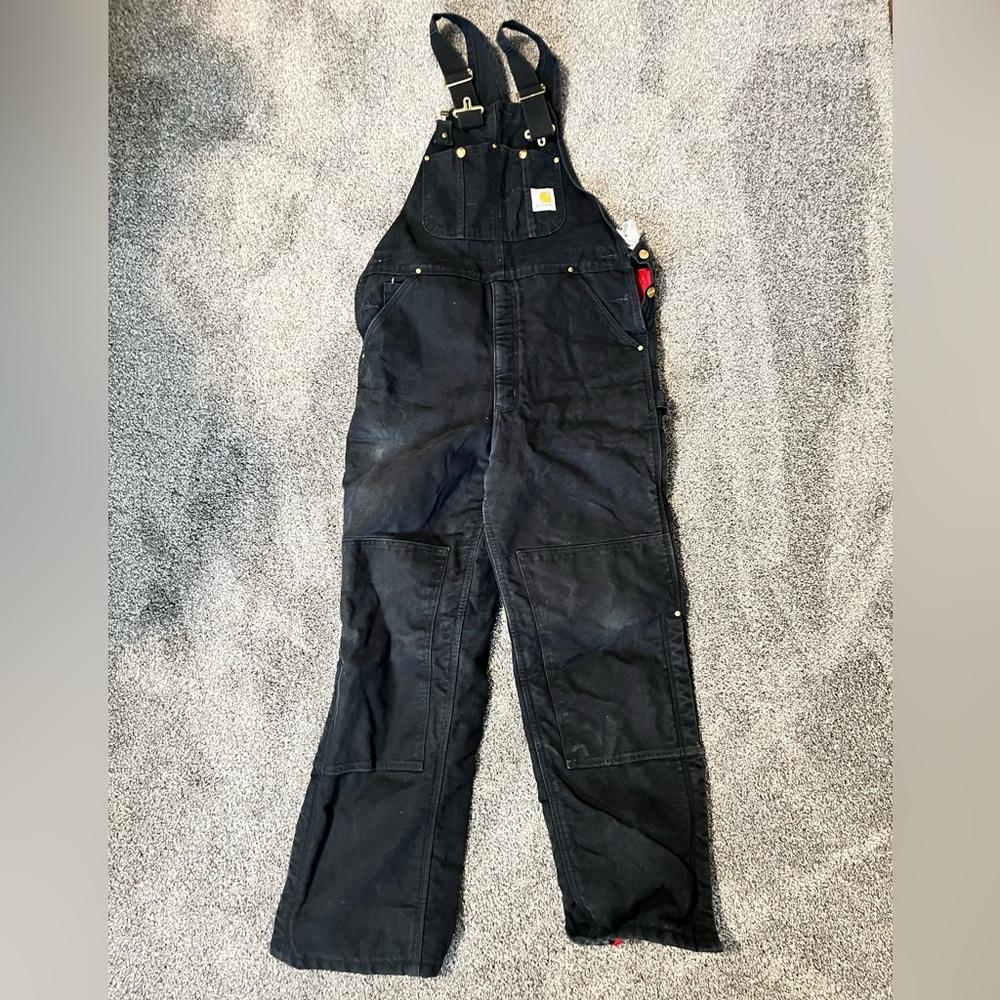 Carhartt Insulated Men’s Bibs